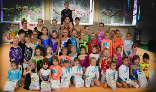 Karlovrské gymnastky 2014.jpg