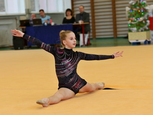 Vánoční exhibice - Klára Tamchynová.jpg